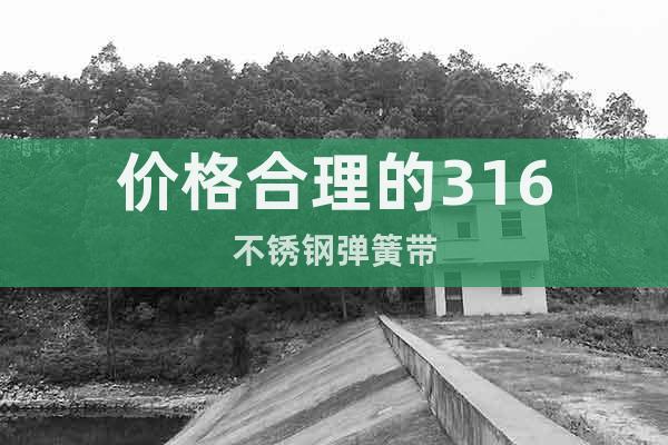 價(jià)格合理的316不銹鋼彈簧帶
