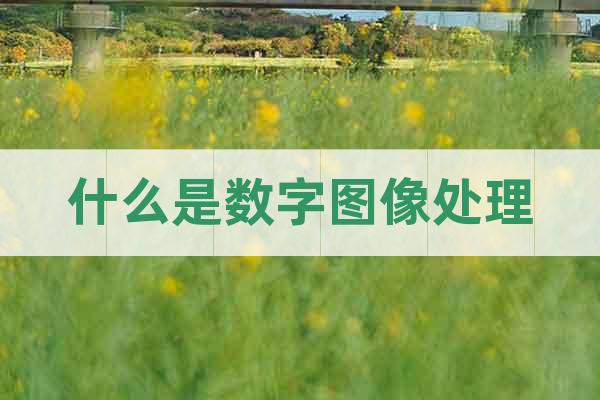 什么是數(shù)字圖像處理