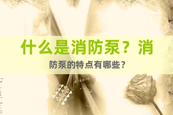 什么是消防泵？消防泵的特點(diǎn)有哪些？