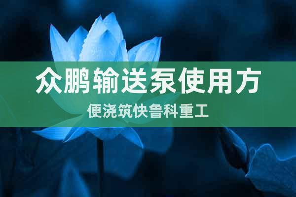 眾鵬輸送泵使用方便澆筑快魯科重工