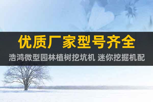 優(yōu)質(zhì)廠家型號齊全浩鴻微型園林植樹挖坑機 迷你挖掘機配置