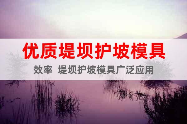 優(yōu)質(zhì)堤壩護(hù)坡模具效率  堤壩護(hù)坡模具廣泛應(yīng)用