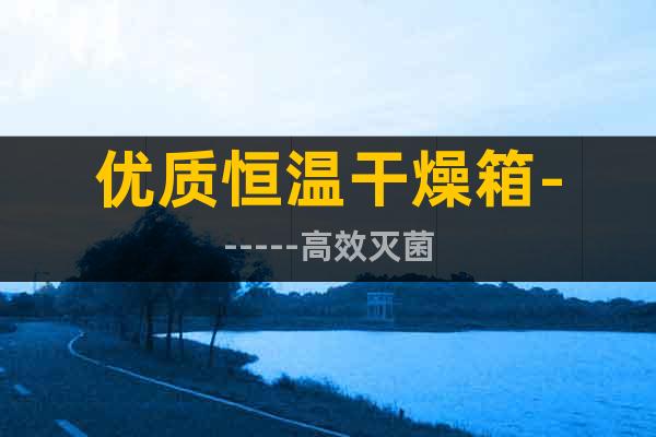 優(yōu)質(zhì)恒溫干燥箱------高效滅菌