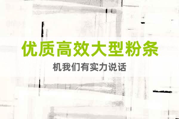 優(yōu)質(zhì)高效大型粉條機我們有實力說話