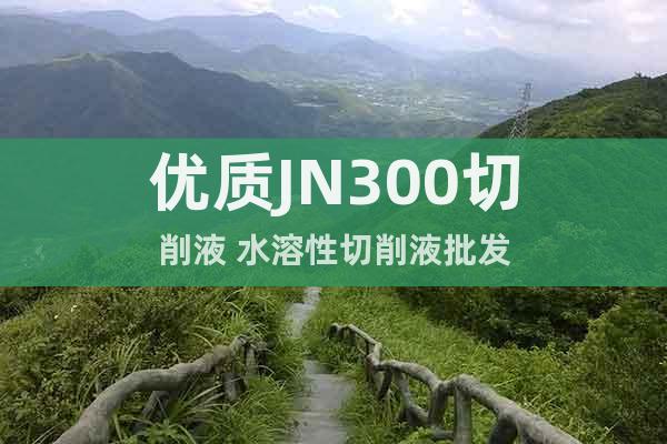 優(yōu)質(zhì)JN300切削液 水溶性切削液批發(fā)