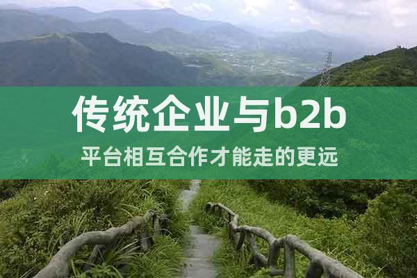 傳統(tǒng)企業(yè)與b2b平臺(tái)相互合作才能走的更遠(yuǎn)