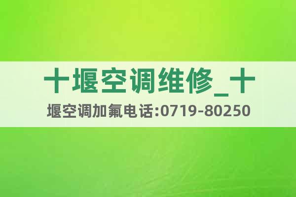 十堰空調維修_十堰空調加氟電話:0719-8025036
