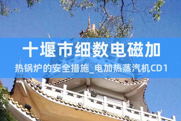 十堰市細(xì)數(shù)電磁加熱鍋爐的安全措施_電加熱蒸汽機(jī)CD11EP