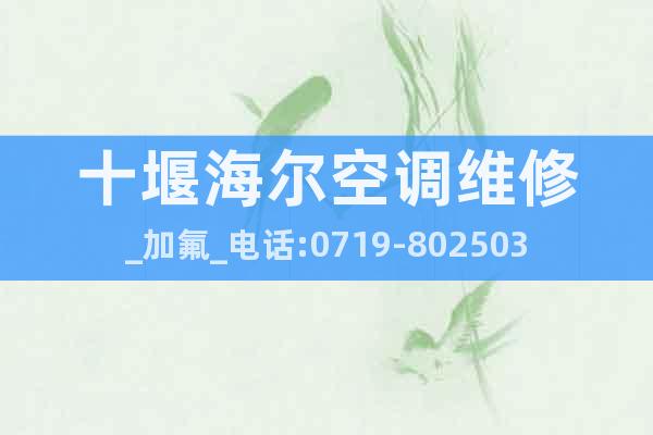 十堰海爾空調維修_加氟_電話:0719-8025036