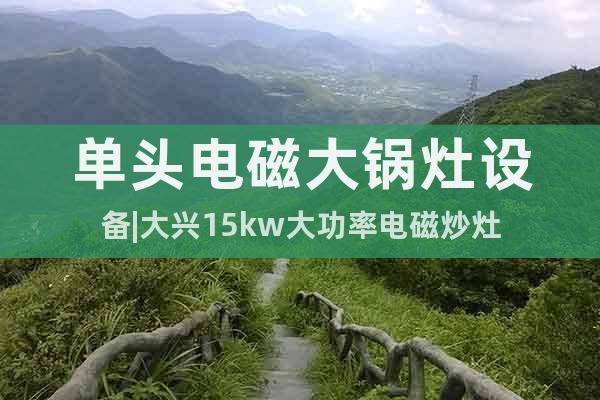 單頭電磁大鍋灶設(shè)備|大興15kw大功率電磁炒灶