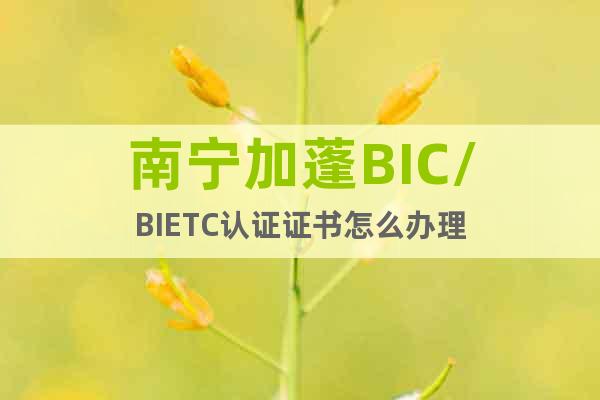 南宁加蓬BIC/BIETC认证证书怎么办理
