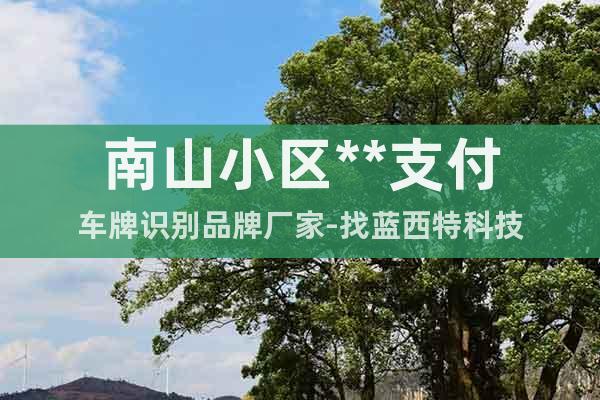 南山小區(qū)**支付車(chē)牌識(shí)別品牌廠家-找藍(lán)西特科技
