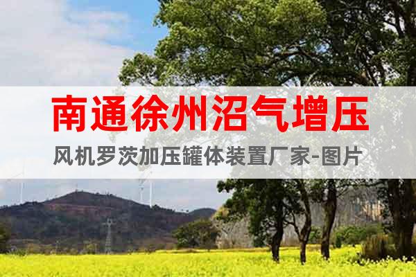 南通徐州沼氣增壓風(fēng)機(jī)羅茨加壓罐體裝置廠家-圖片