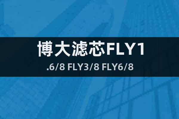 博大濾芯FLY1.6/8 FLY3/8 FLY6/8