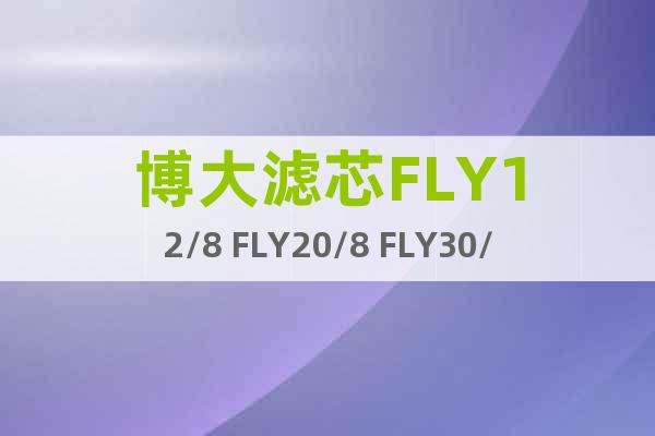 博大濾芯FLY12/8 FLY20/8 FLY30/8