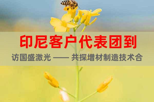 印尼客戶代表團(tuán)到訪國(guó)盛激光 —— 共探增材制造技術(shù)合作新機(jī)遇