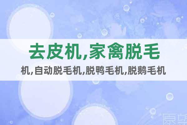 去皮機(jī),家禽脫毛機(jī),自動(dòng)脫毛機(jī),脫鴨毛機(jī),脫鵝毛機(jī)