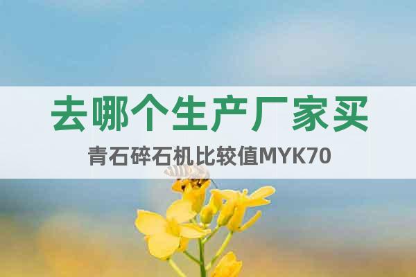 去哪個生產(chǎn)廠家買青石碎石機比較值MYK70