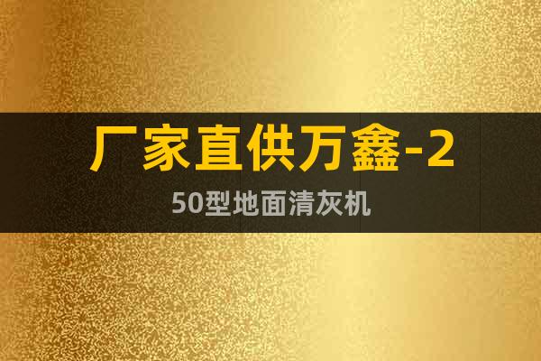 廠家直供萬鑫-250型地面清灰機