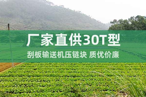 廠家直供30T型刮板輸送機(jī)壓鏈塊 質(zhì)優(yōu)價(jià)廉
