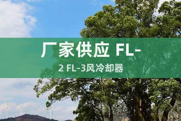 廠家供應(yīng) FL-2 FL-3風(fēng)冷卻器