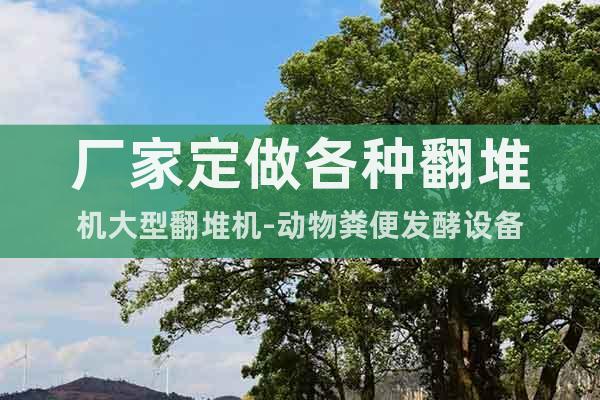 廠家定做各種翻堆機(jī)大型翻堆機(jī)-動(dòng)物糞便發(fā)酵設(shè)備