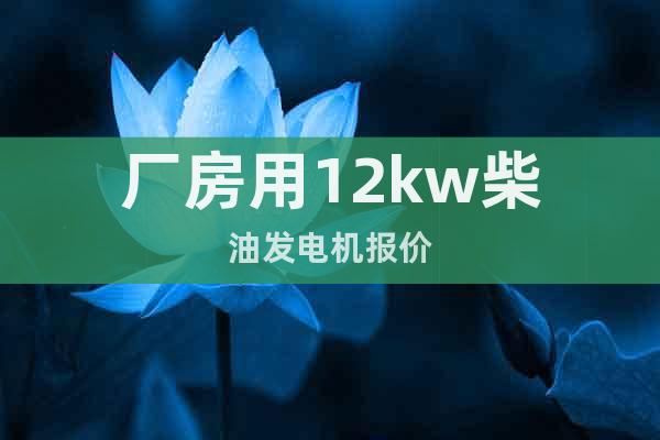 廠房用12kw柴油發(fā)電機(jī)報價
