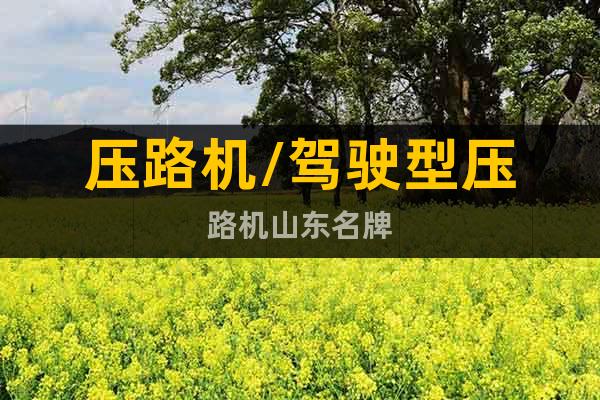 壓路機/駕駛型壓路機山東名牌