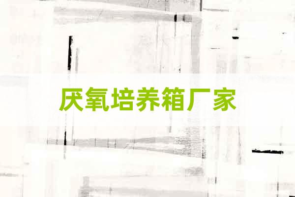 厭氧培養(yǎng)箱廠家