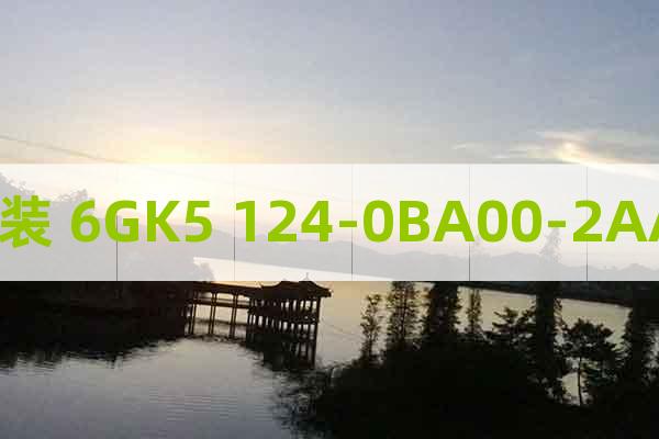 原裝 6GK5 124-0BA00-2AA3