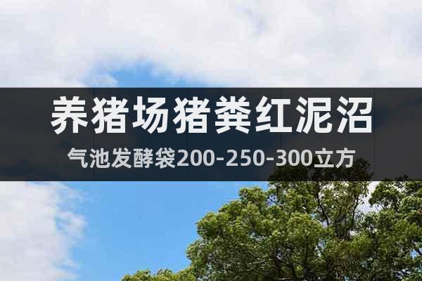 養(yǎng)豬場(chǎng)豬糞紅泥沼氣池發(fā)酵袋200-250-300立方湖南