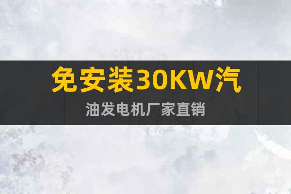 免安裝30KW汽油發(fā)電機(jī)廠家直銷