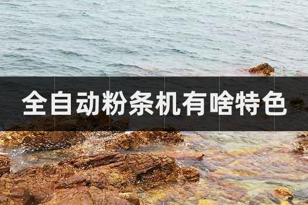 全自動粉條機有啥特色