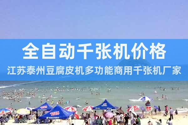 全自動千張機價格江蘇泰州豆腐皮機多功能商用千張機廠家直銷