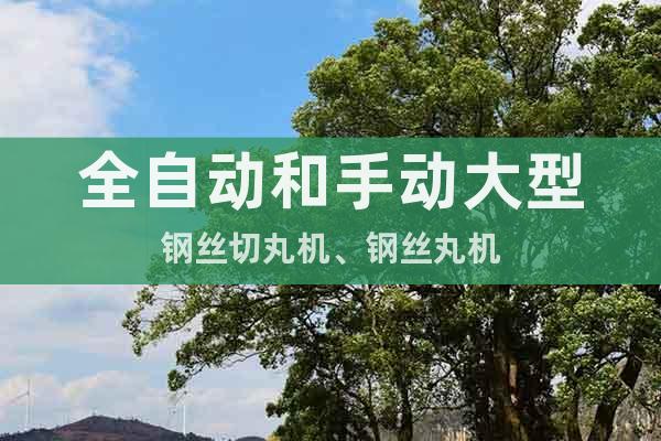 全自動(dòng)和手動(dòng)大型鋼絲切丸機(jī)、鋼絲丸機(jī)