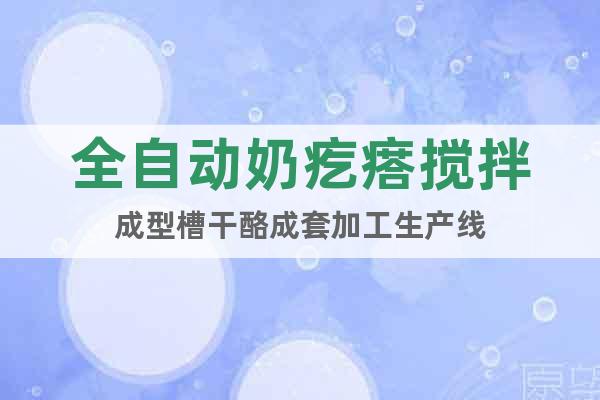 全自动奶疙瘩搅拌成型槽干酪成套加工生产线