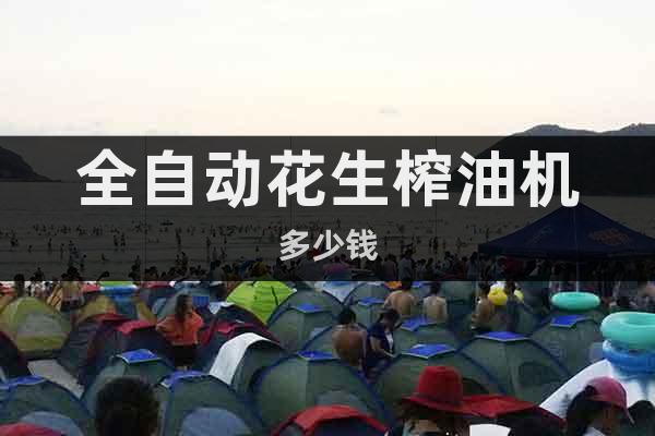 全自動花生榨油機多少錢
