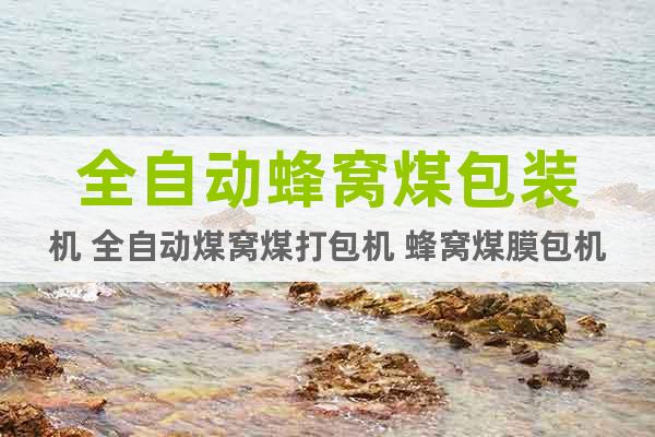 全自動蜂窩煤包裝機 全自動煤窩煤打包機 蜂窩煤膜包機