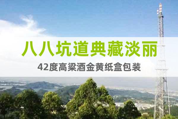 八八坑道典藏淡麗42度高粱酒金黃紙盒包裝
