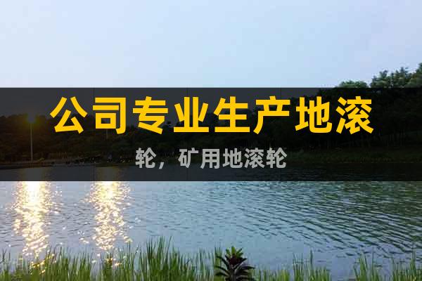 公司專業(yè)生產(chǎn)地滾輪，礦用地滾輪