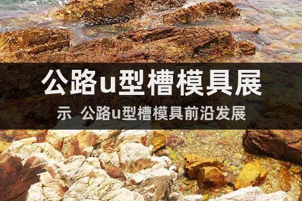 公路u型槽模具展示  公路u型槽模具前沿發(fā)展