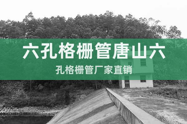 六孔格柵管唐山六孔格柵管廠家直銷