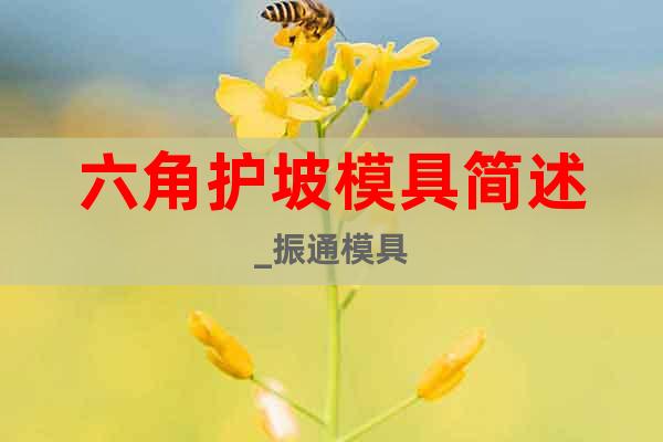 六角護(hù)坡模具簡(jiǎn)述_振通模具