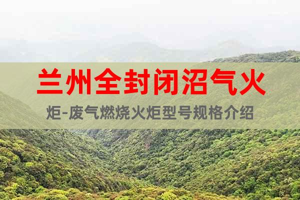 蘭州全封閉沼氣火炬-廢氣燃燒火炬型號(hào)規(guī)格介紹