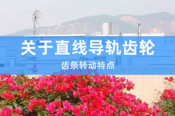關于直線導軌齒輪齒條轉動特點