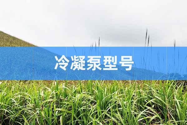 冷凝泵型號