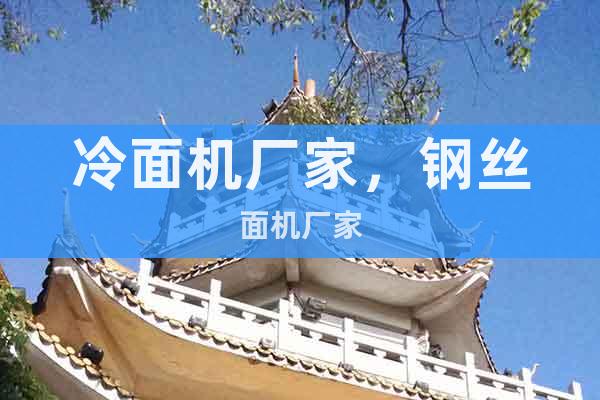 冷面機(jī)廠家，鋼絲面機(jī)廠家