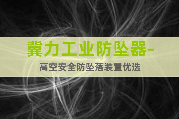 冀力工業(yè)防墜器-高空安全防墜落裝置優(yōu)選