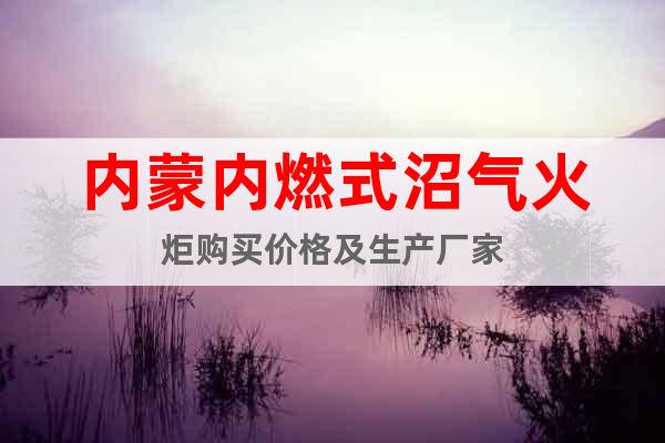 內(nèi)蒙內(nèi)燃式沼氣火炬購買價(jià)格及生產(chǎn)廠家