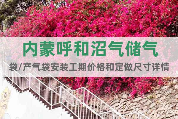 內(nèi)蒙呼和沼氣儲氣袋/產(chǎn)氣袋安裝工期價格和定做尺寸詳情